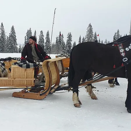 U Pajakow Bed & Breakfast Skrzypne