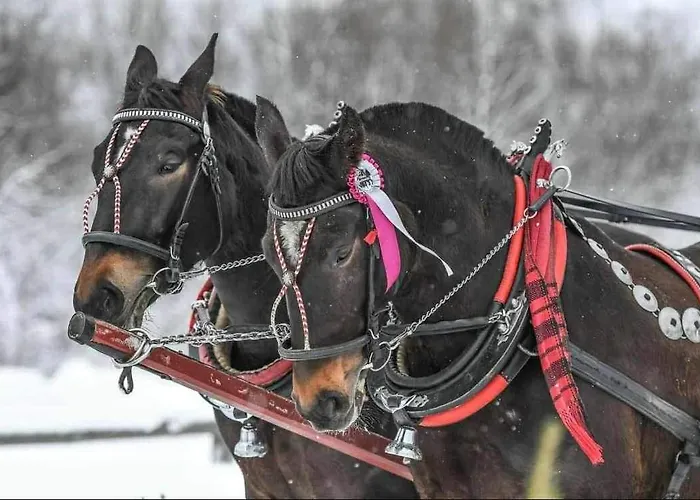 U Pajakow לינה וארוחת בוקר Skrzypne