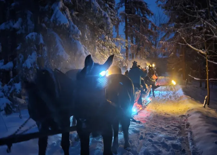 לינה וארוחת בוקר U Pajakow 3*