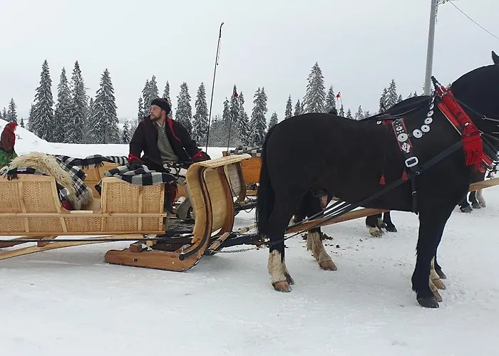 U Pajakow לינה וארוחת בוקר Skrzypne